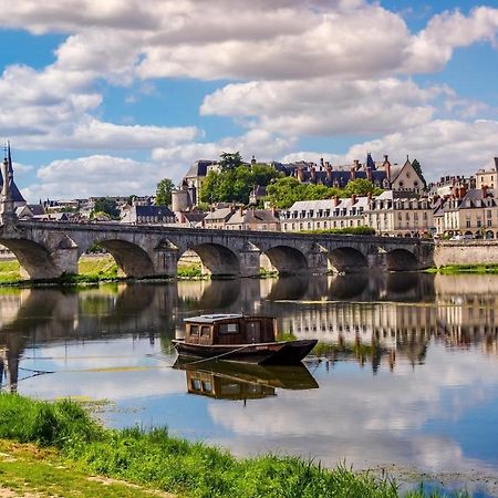 Appartement Haut Standing Proche Du Centre Ville, Vue Sur La Cathedrale Saint Louis Blois Luaran gambar